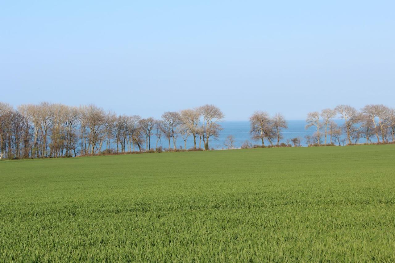 Ferienwohnungen Am Museumshof Fehmarn Zewnętrze zdjęcie